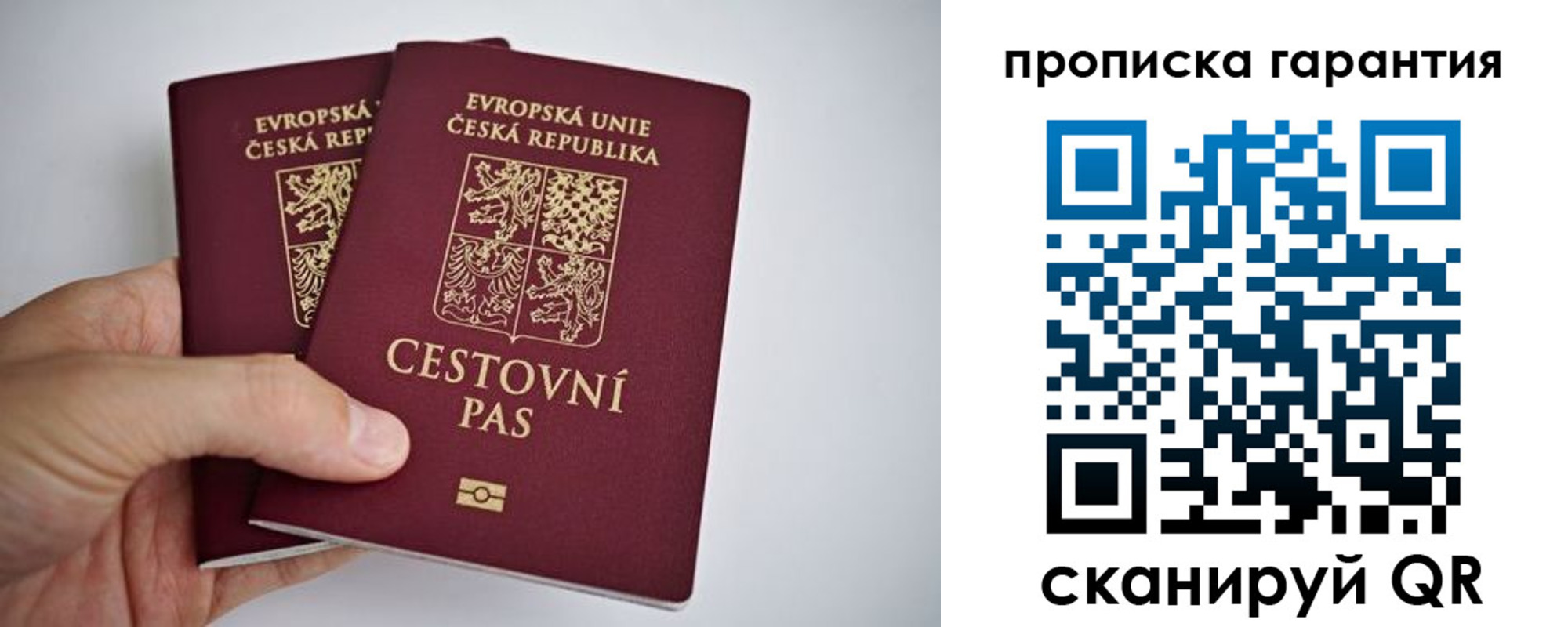 прописка в Старом Осколе